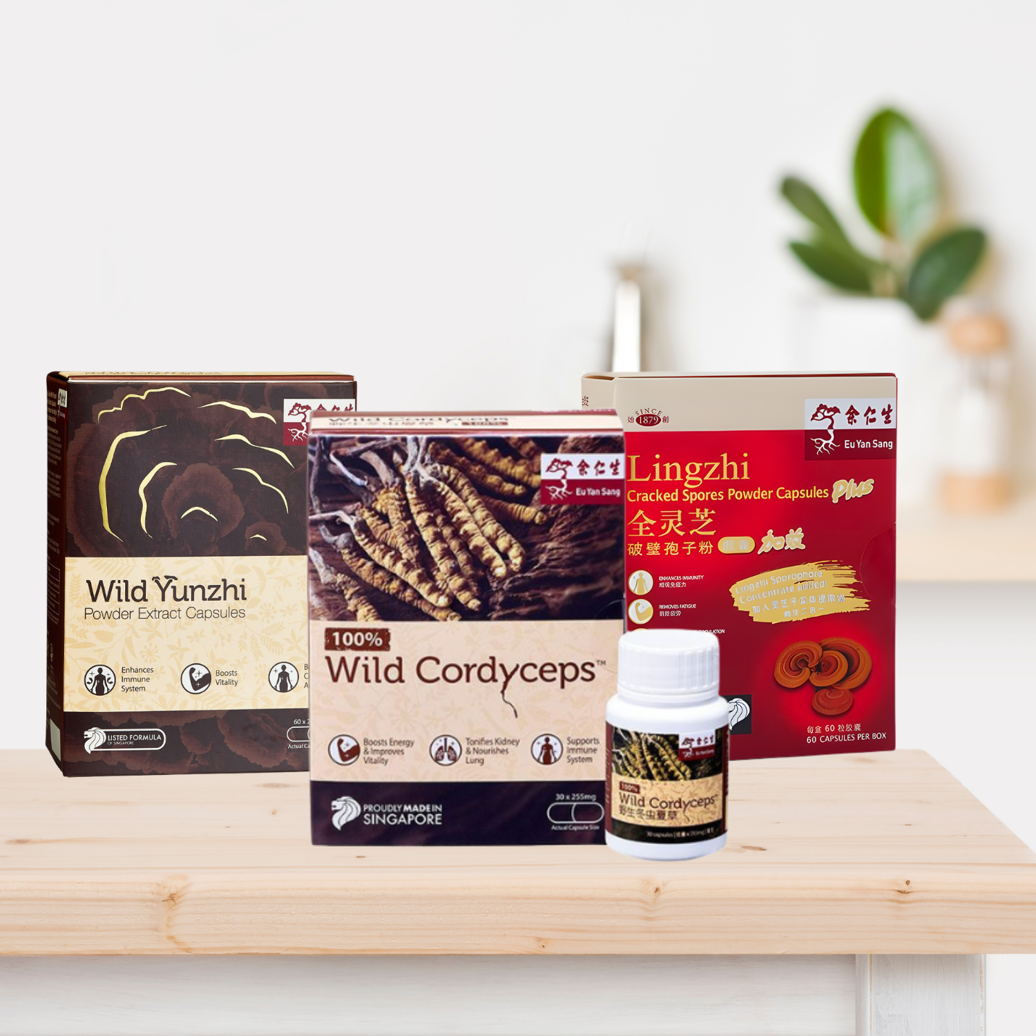 Superfood Mushrooms Bundle I – Eu Yan Sang International