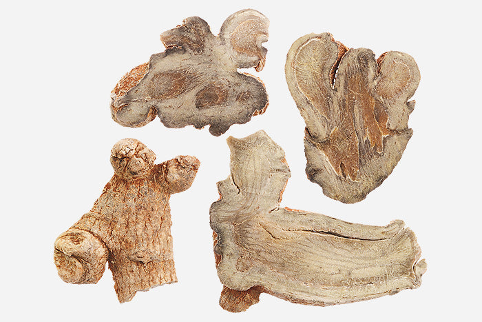 7 Things You Should Know About Notoginseng