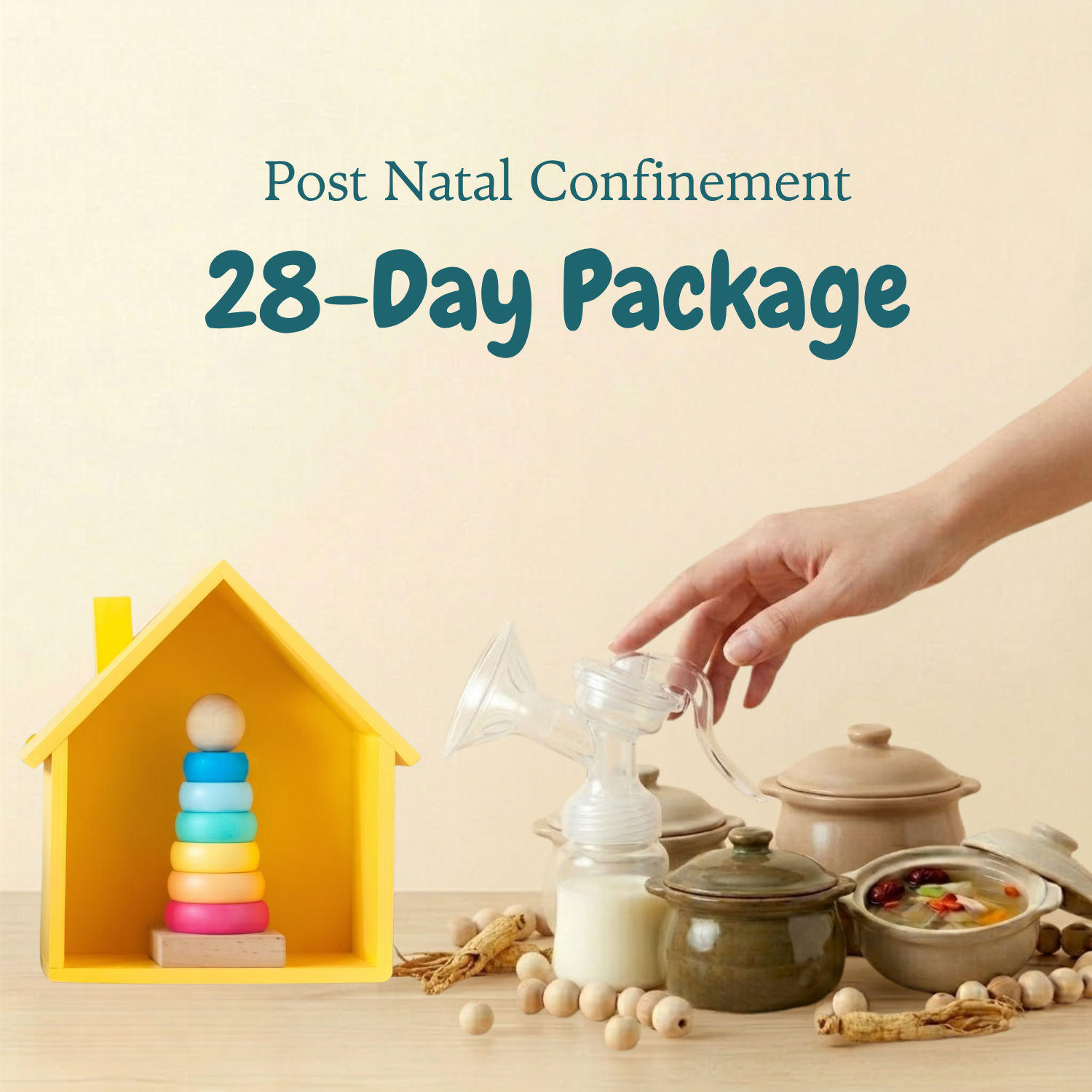 28 Day Postnatal Confinement Package (坐月護航配套)