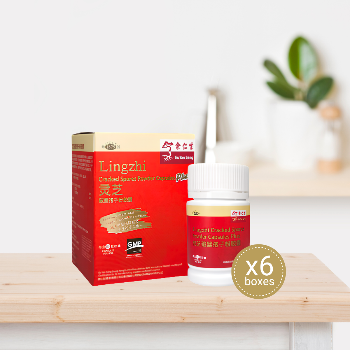 Lingzhi Cracked Spores Powder Capsules Plus - 6 Bottles (Expiry Apr'27)