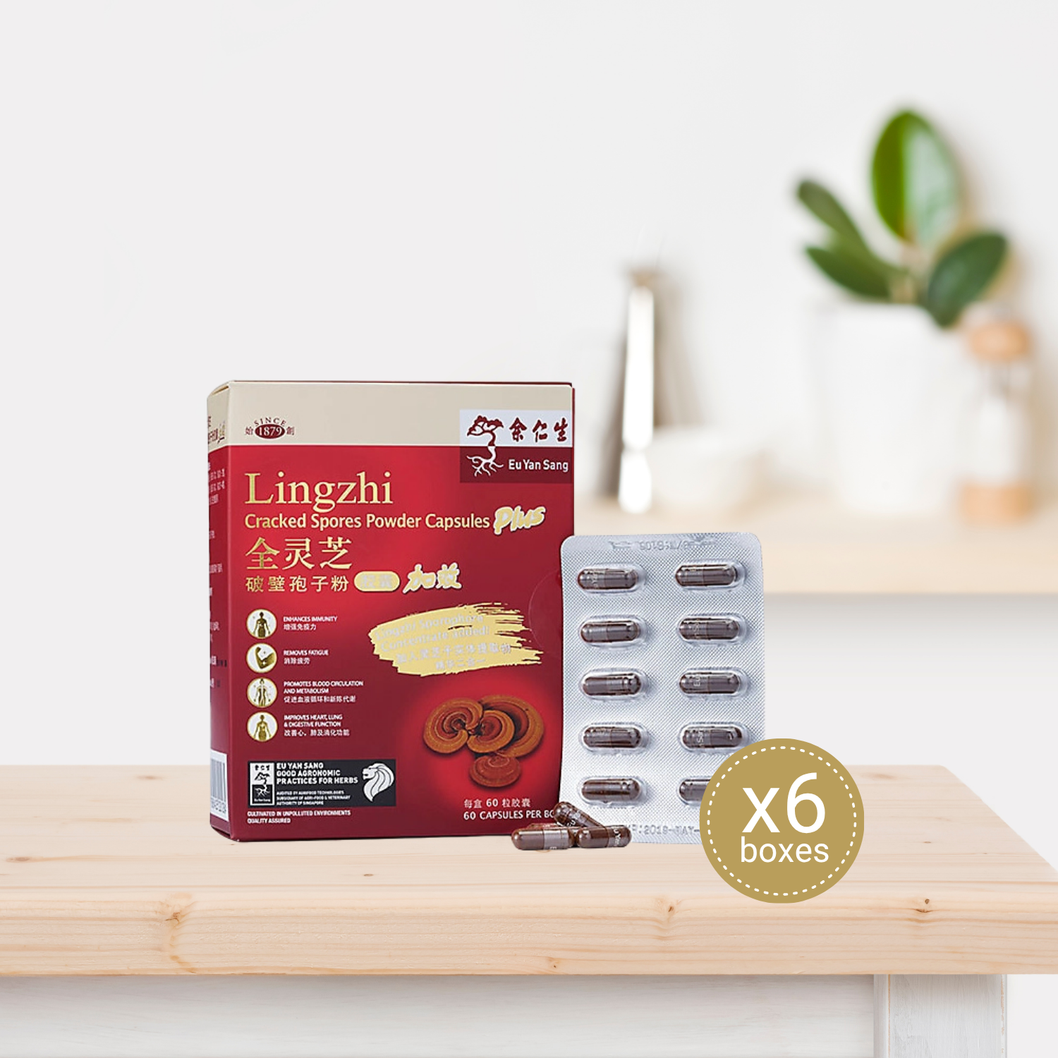 Lingzhi Cracked Spores Powder Plus 60's (Blister) - 6 boxes