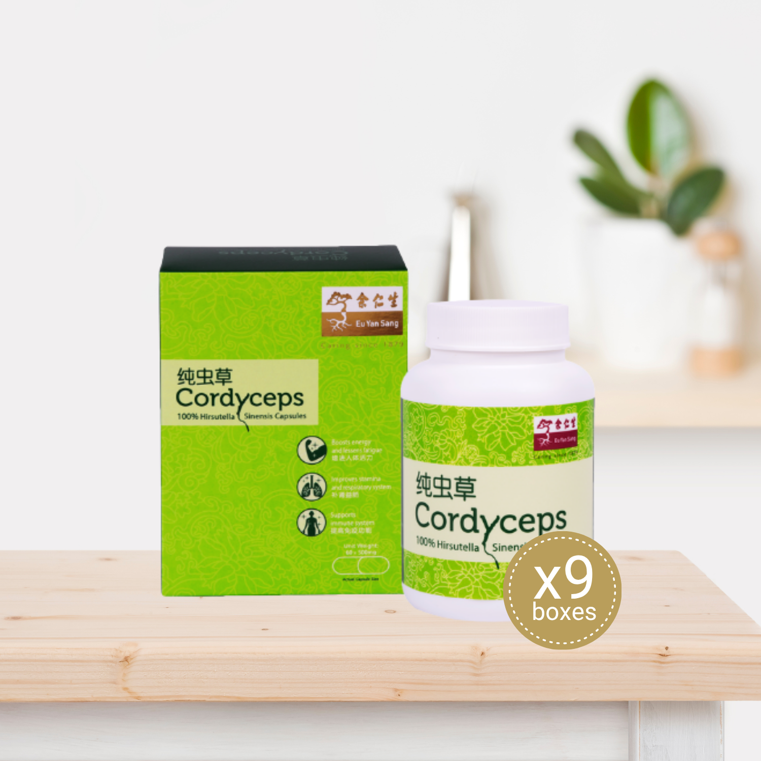 Cordyceps Capsules - 9 bottles