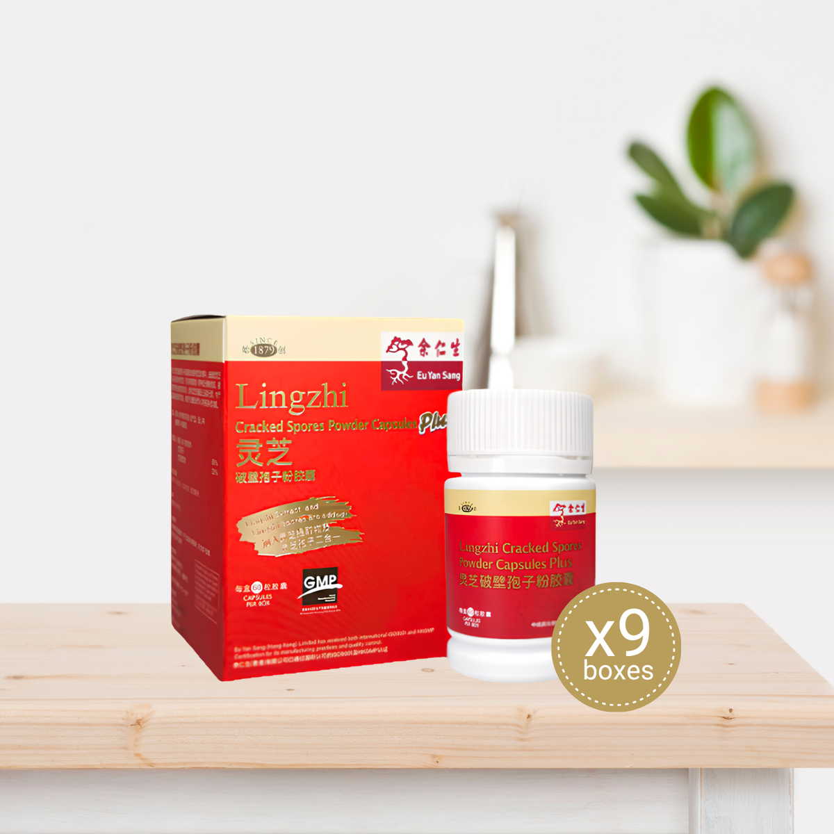 Lingzhi Cracked Spores Powder Capsules Plus - 9 Bottles (Expiry Apr'27)