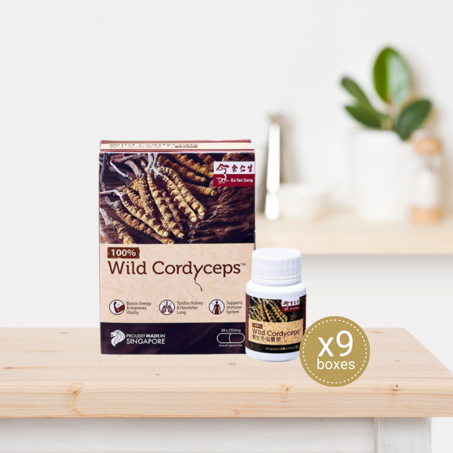 Wild Cordyceps Capsules - 9 bottles