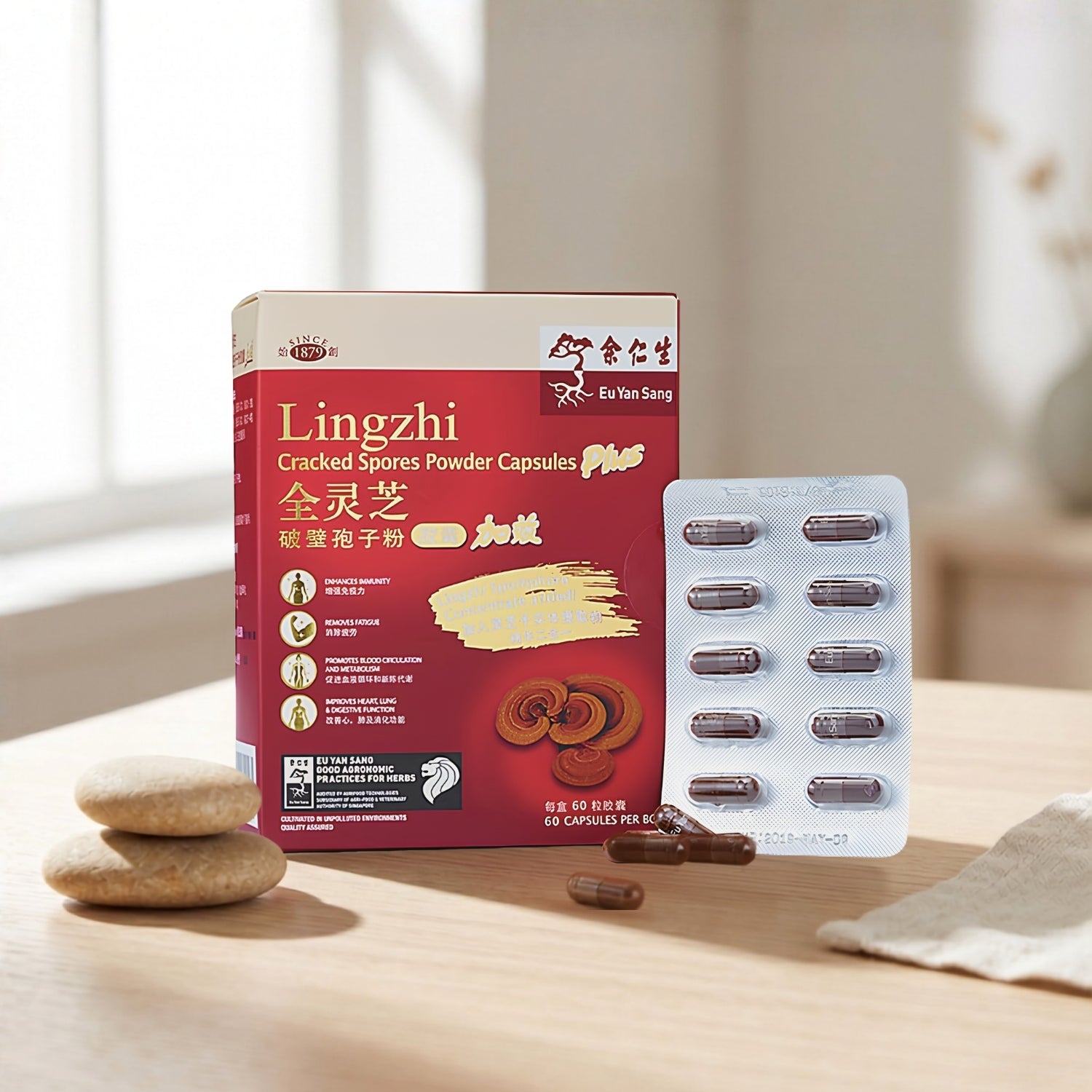 Lingzhi Cracked Spores Powder Capsules Plus- Blister