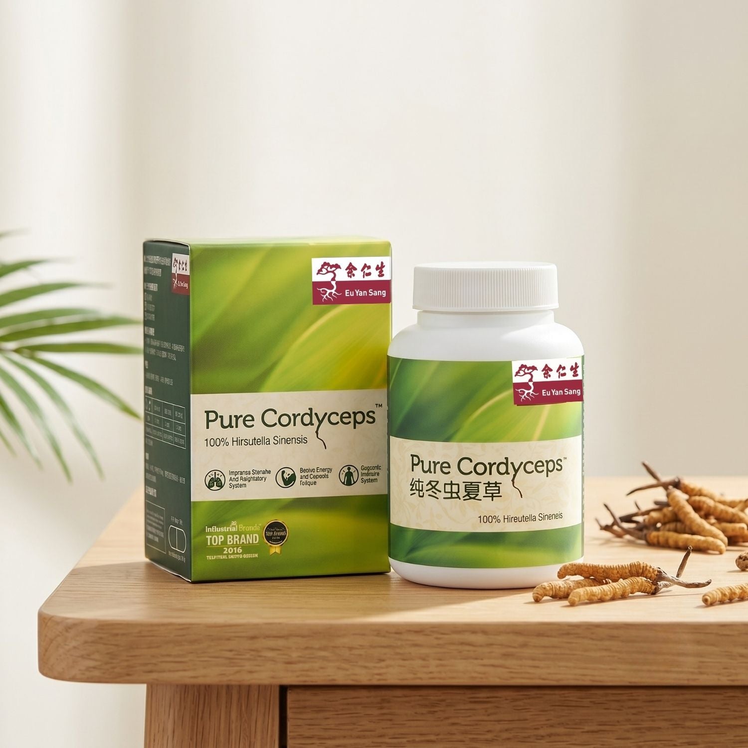 Pure Cordyceps 90 Capsules
