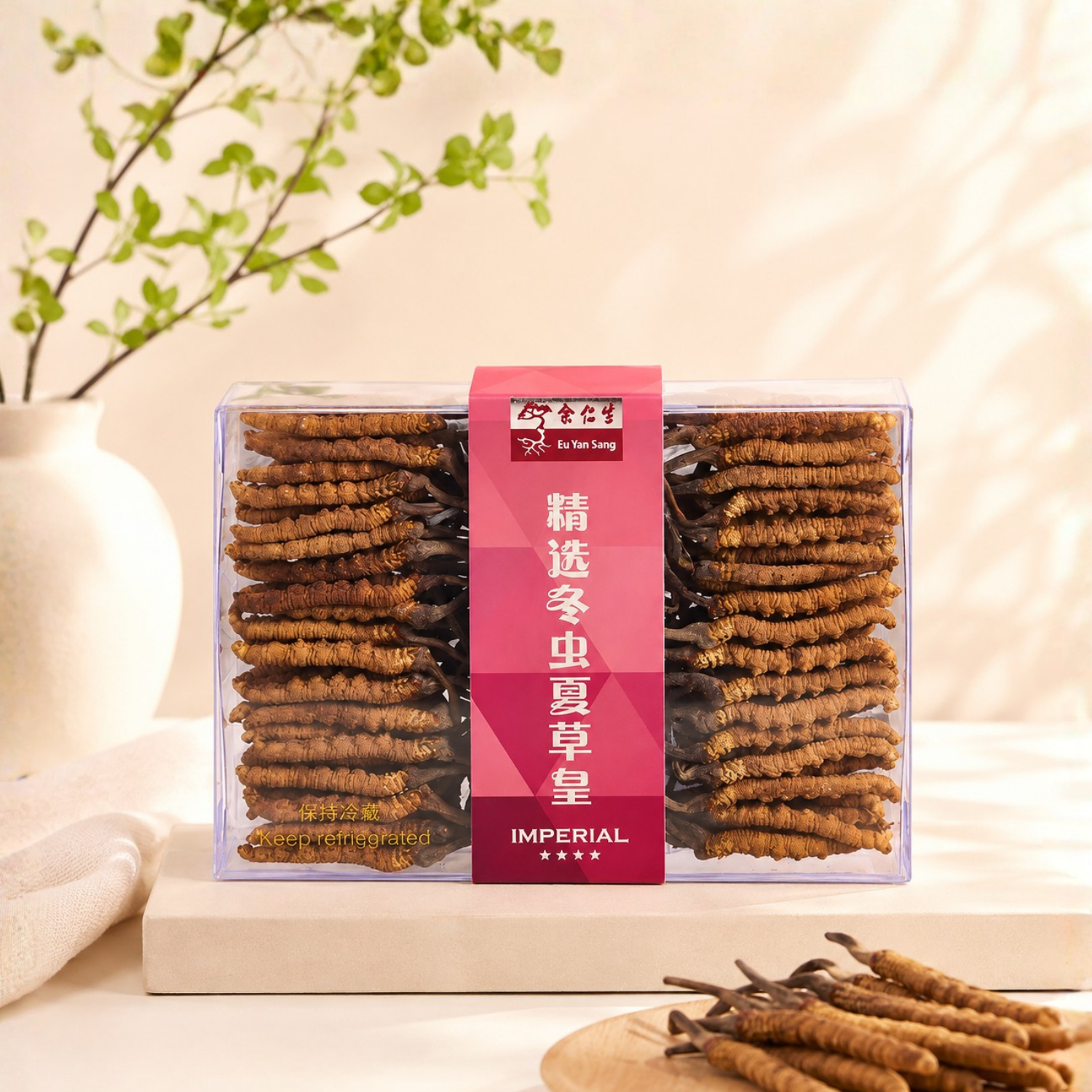 Wild Cordyceps - 4 Star Special Select