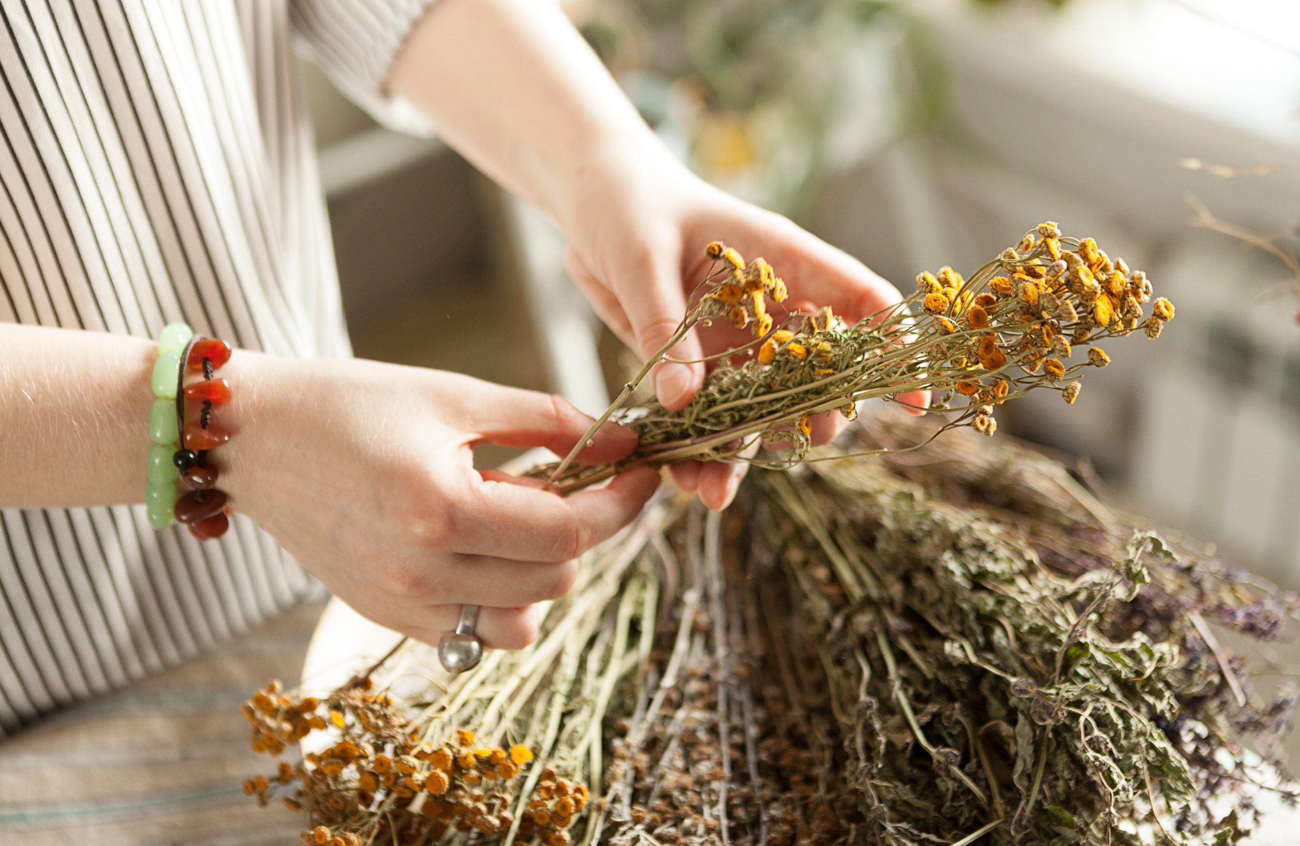 Herbal Medicine Basics: How to Use Raw Herbs
