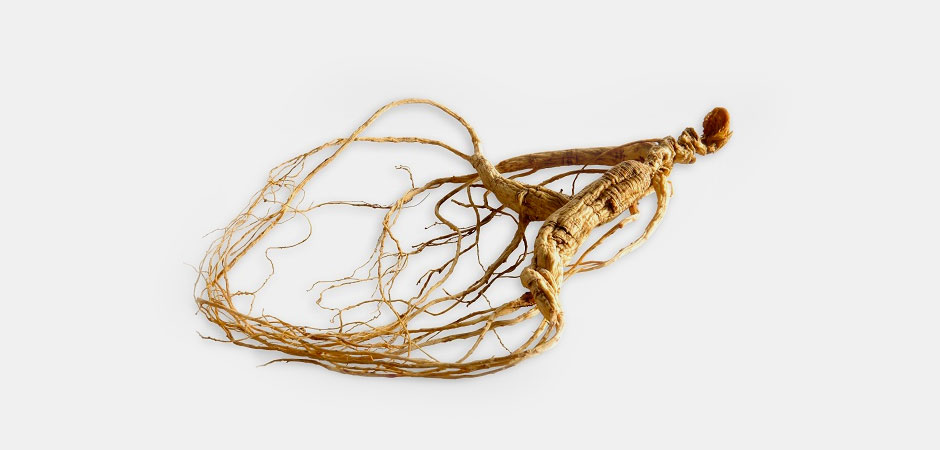 5 Ways Ginseng Is A Wonder Herb