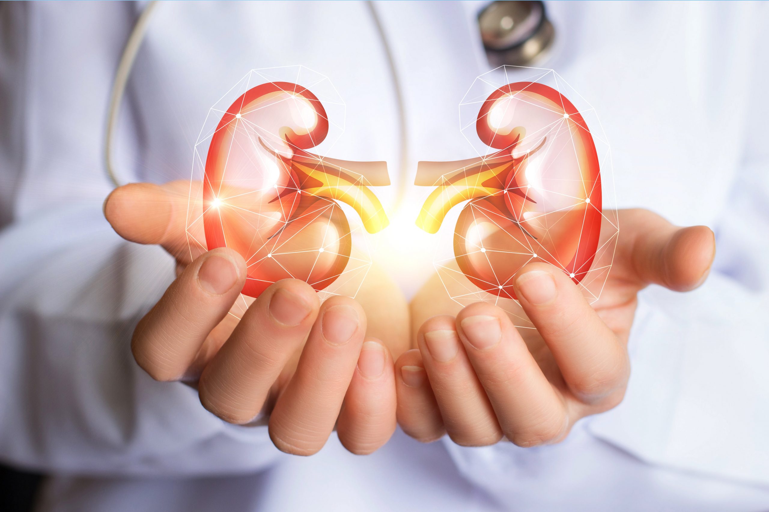Discover Why Healthy Kidney Function Means Good Health