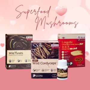 Superfood Mushrooms Bundle I - 41% OFF - Limited 100 Sets Only!