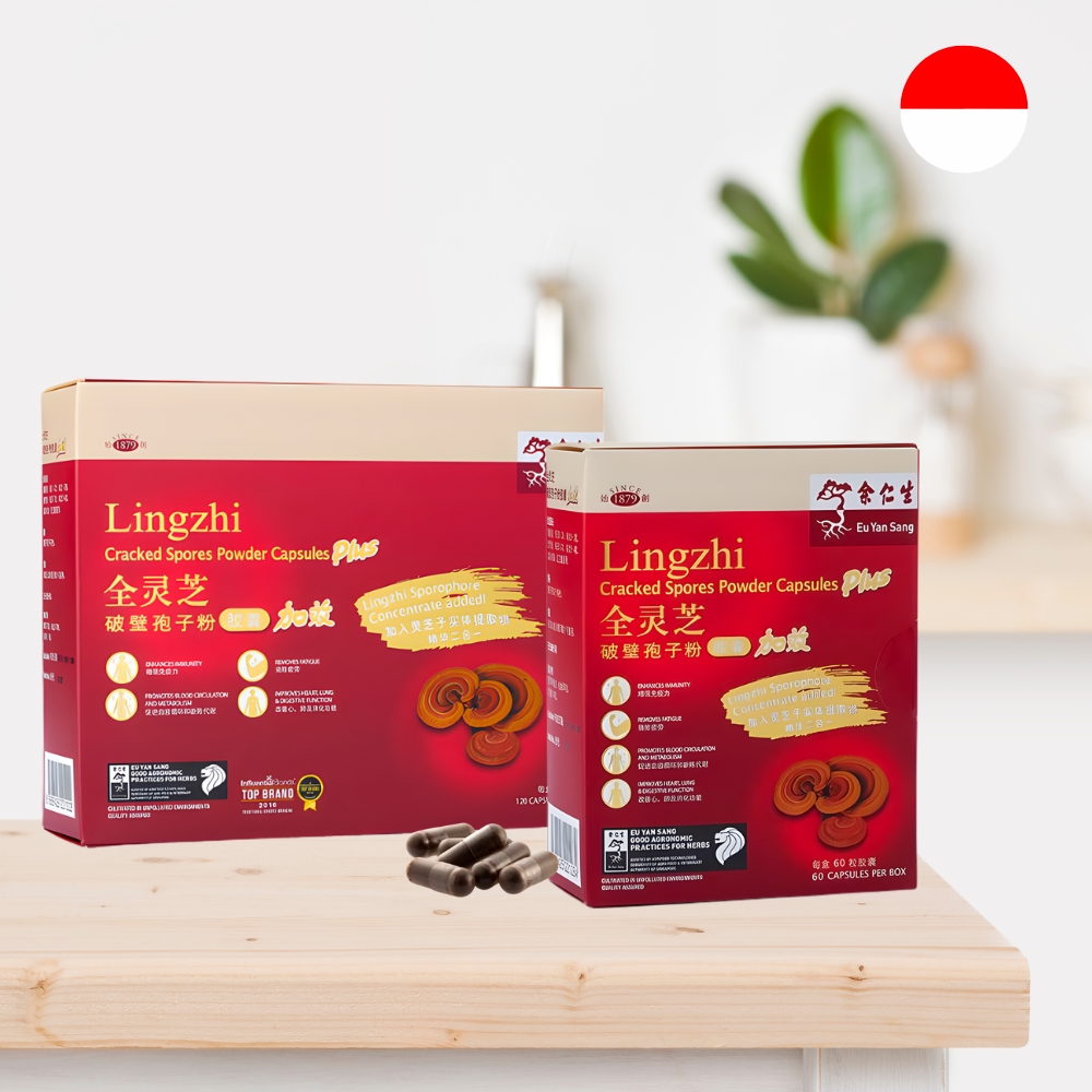 Lingzhi Wellness Saver Pack - 70% Off