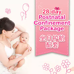 28 Day Postnatal Confinement Package (坐月護航配套)