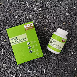 Cordyceps (Hirsutella Sinensis) Capsules, 60 Caps (冬蟲夏草膠囊) (Expiry Nov 23)