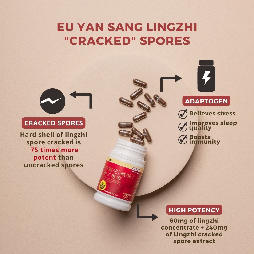 Ganoderma Lingzhi Reishi Cracked Spores Powder Capsules