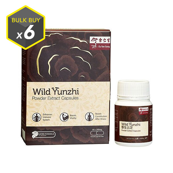 Wild Yunzhi Powder Extract - 6 Boxes (野生雲芝粉提取物膠囊 - 6盒)